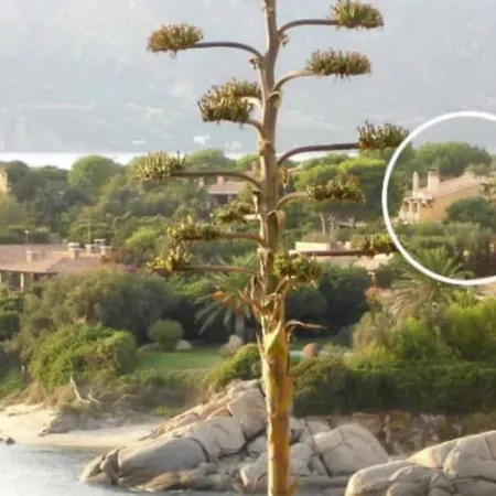 Himmelblau House Cala Caterina